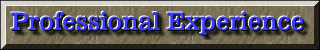 Professional Experience